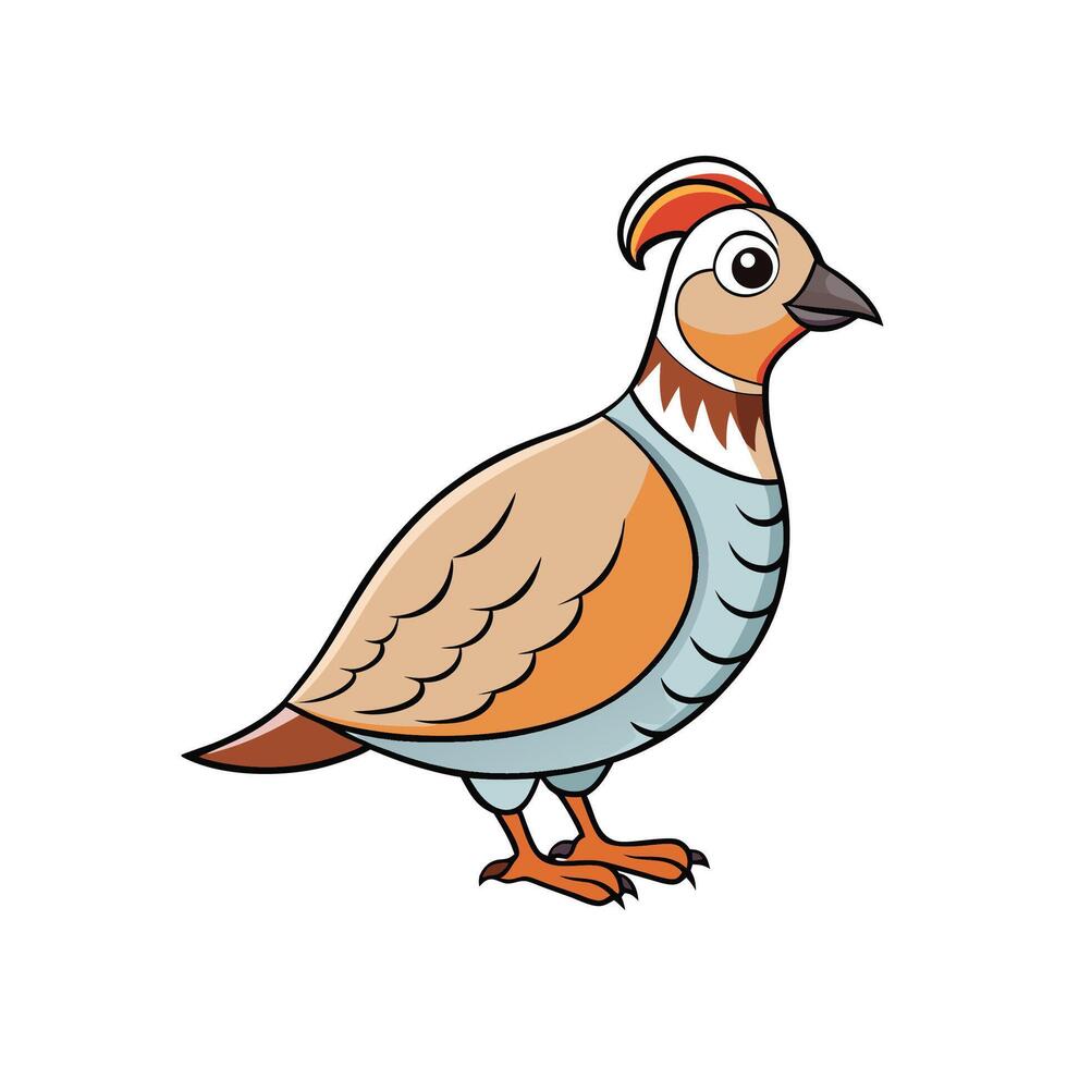Cartoon Partridge Illustration Standing Isolated on White Background vector