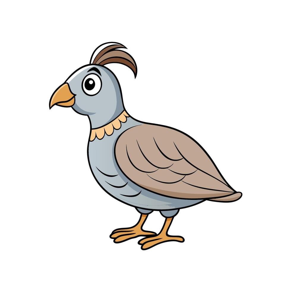 Cartoon illustration of a cute quail standing sideways vector