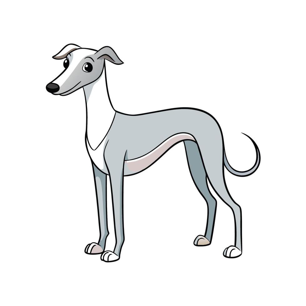 Cartoon Greyhound dog illustration standing tall, isolated on white vector