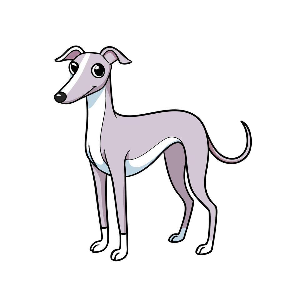 Cute cartoon greyhound standing isolated on a white background vector