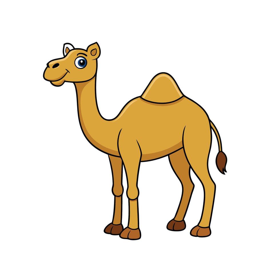 Cartoon camel illustration, simple, cute, on white background vector