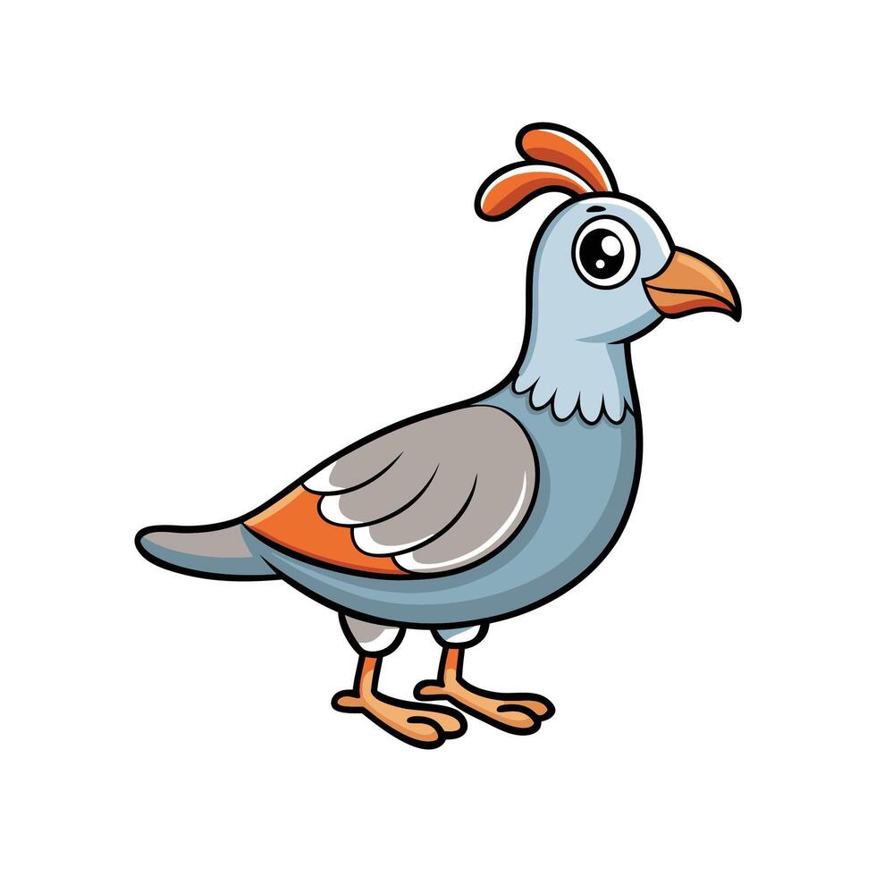 Cute Cartoon Quail Illustration Standing Isolated on White Background vector