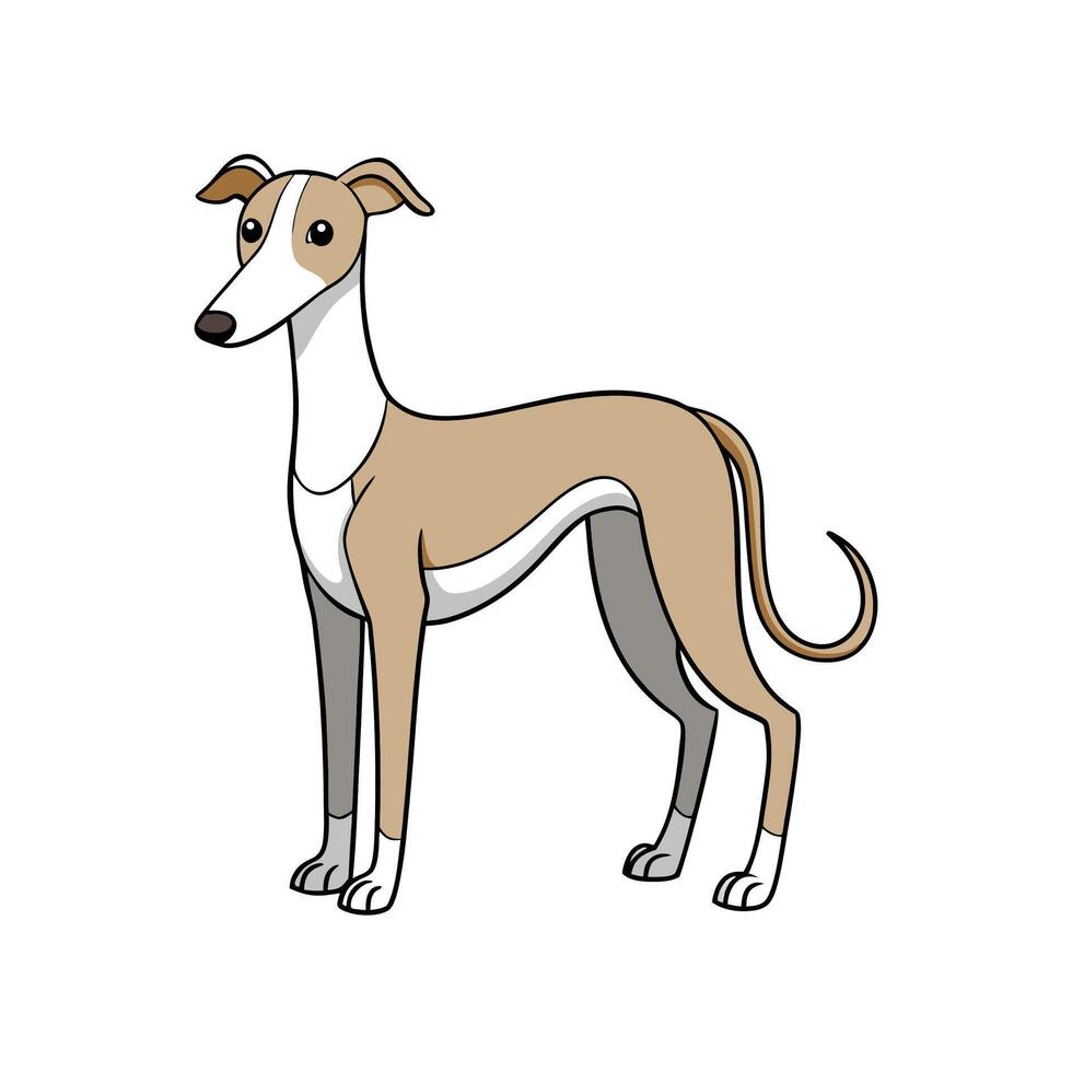 Elegant Greyhound Cartoon Illustration with Clean Lines and Colors vector