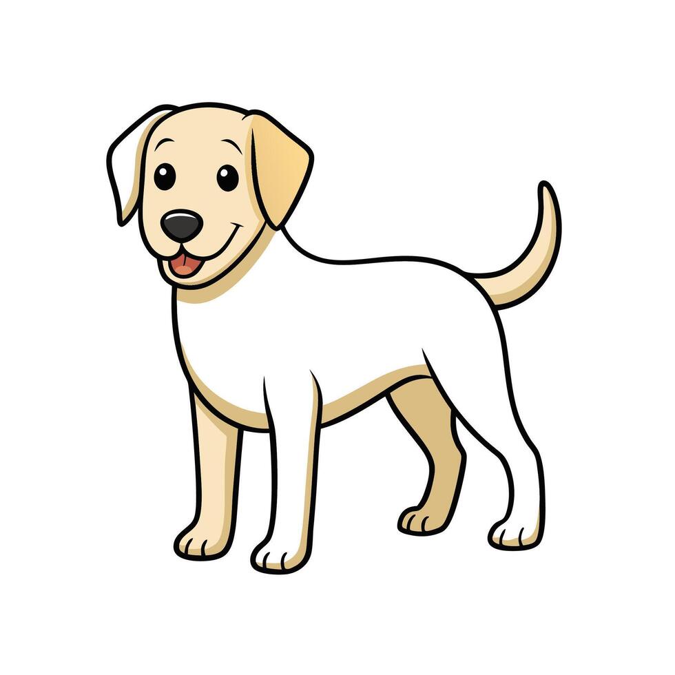 Cartoon labrador retriever standing, illustration with happy expression vector