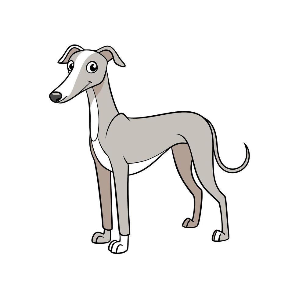 Cartoon greyhound dog full body illustration standing upright vector