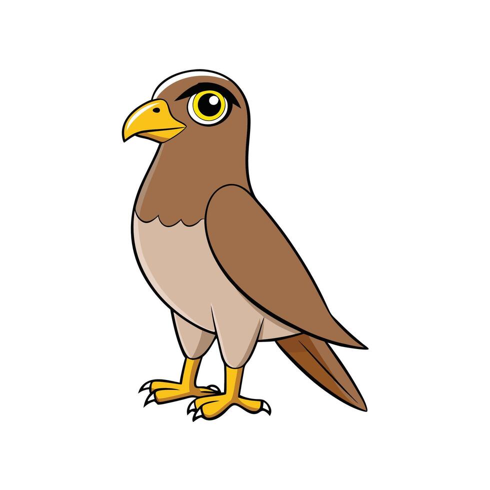 Cartoon hawk illustration, isolated on white background vector