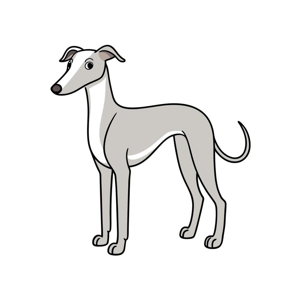 Elegant greyhound standing tall in a cartoon style illustration vector