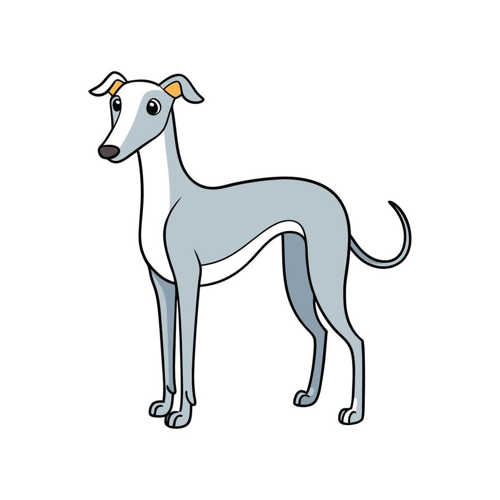 Cartoon Greyhound dog full body illustration standing tall vector