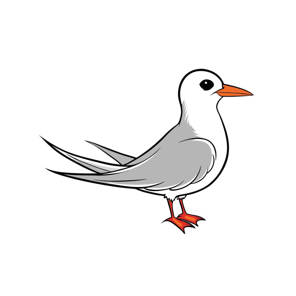 Cartoon Illustration of a Cute Tern Bird Standing Upright vector