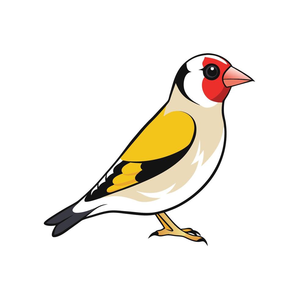 Colorful goldfinch bird illustration with simple and clean design vector