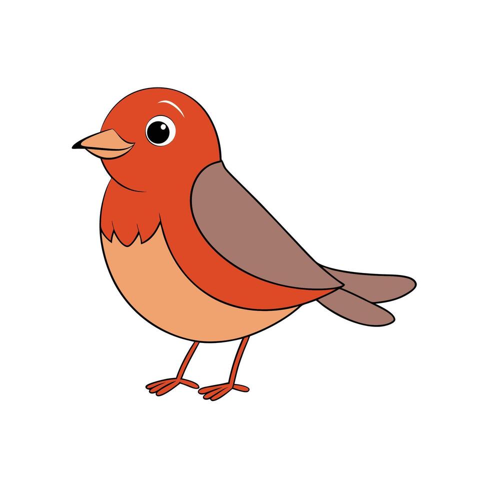 Cartoon robin illustration with simple lines and flat colors vector