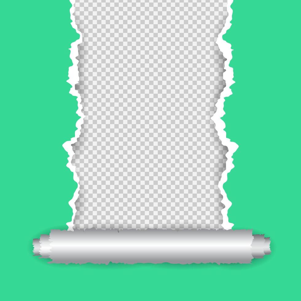 green torn paper style for photo frame vector