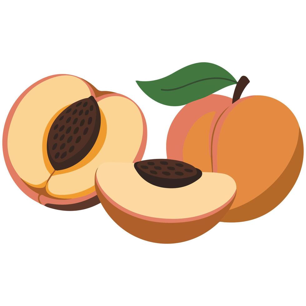 Ripe peach fruit whole and halved with leaf vector