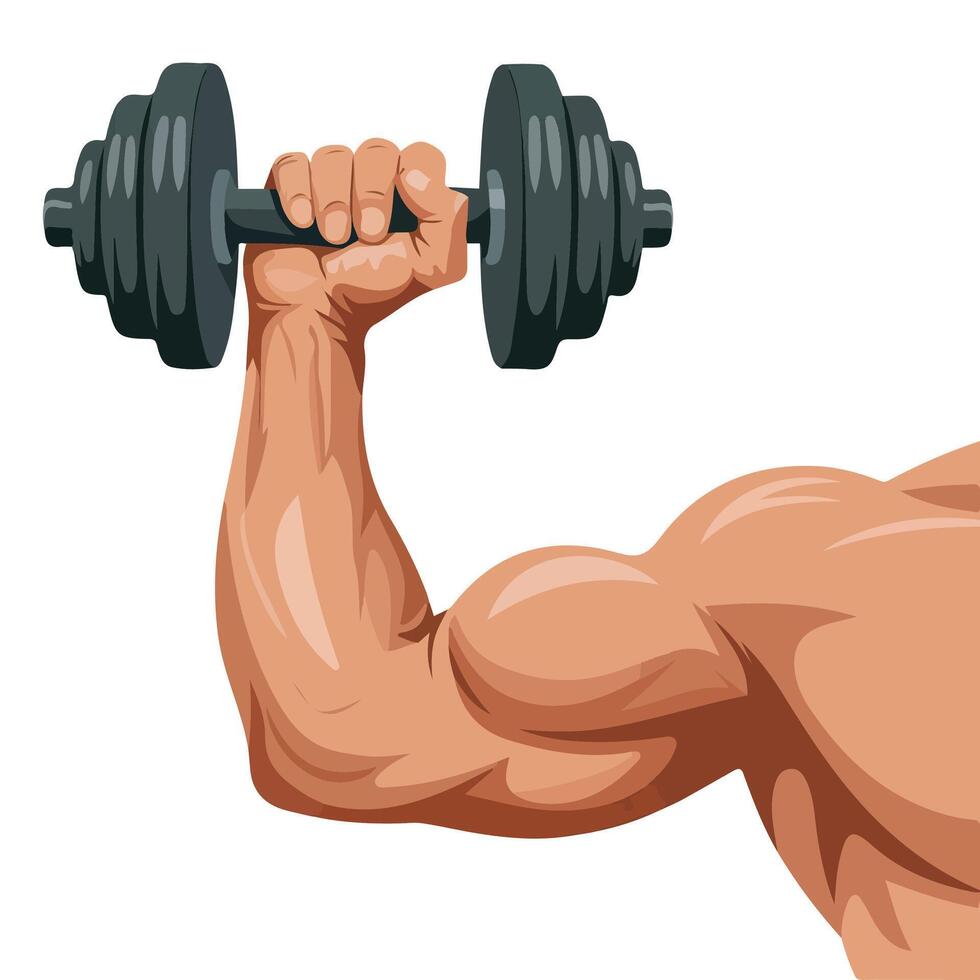 Fitness dumbbell flat icon for exercise isolated illustration on white background vector