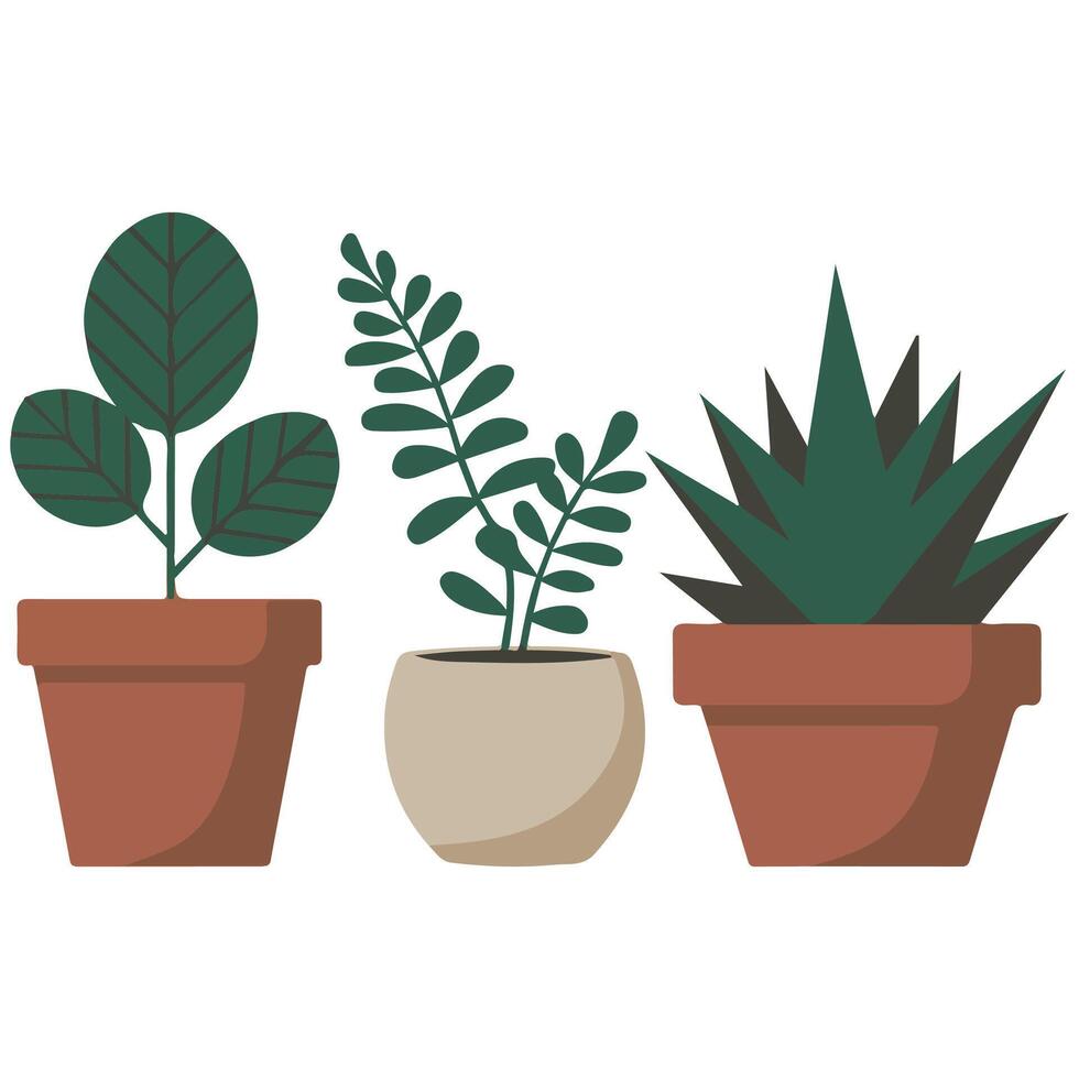 Four potted plants in clay containers isolated illustration on white background vector