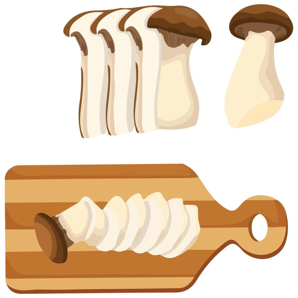 Edible king oyster mushrooms vegetarian isolated illustration on white background vector