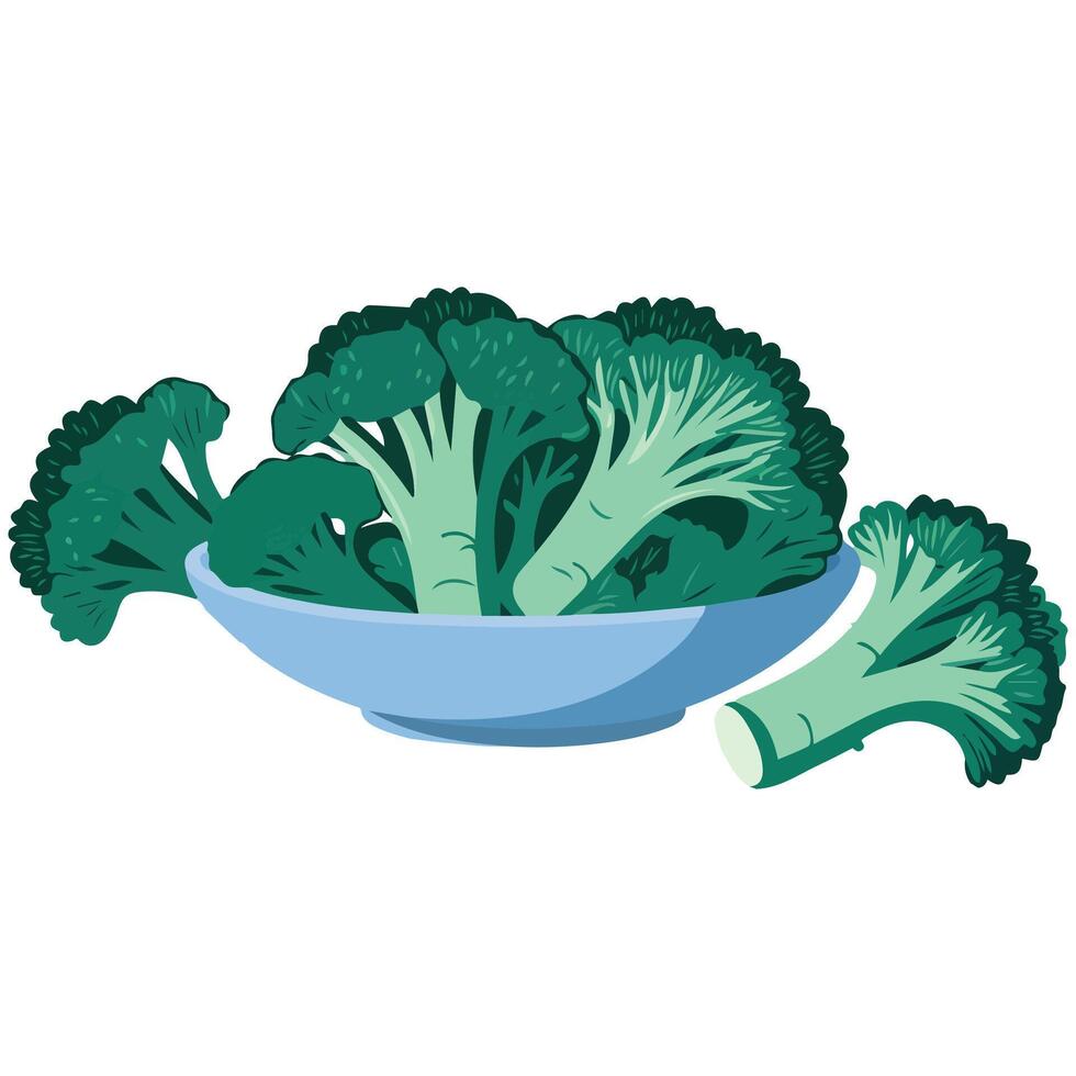 broccoli healthy vegetable isolated illustration on white background vector