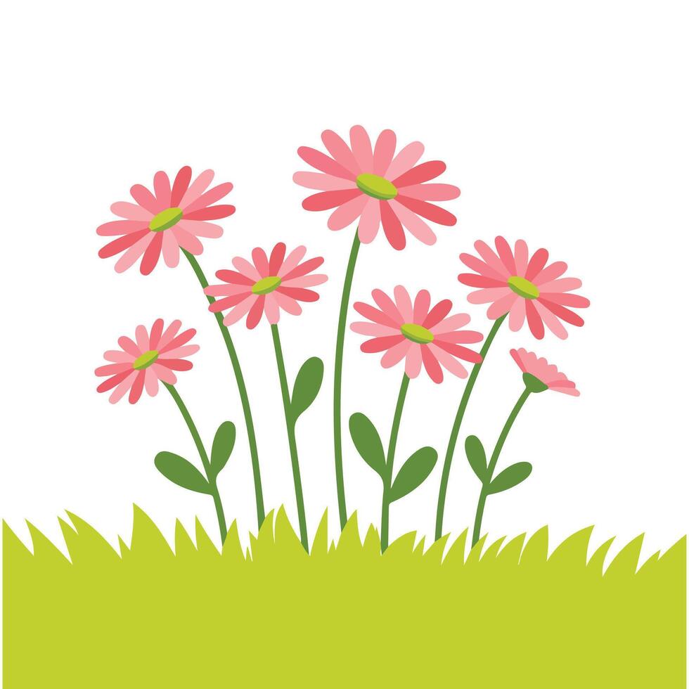 Spring meadow flowers isolated illustration on white background vector