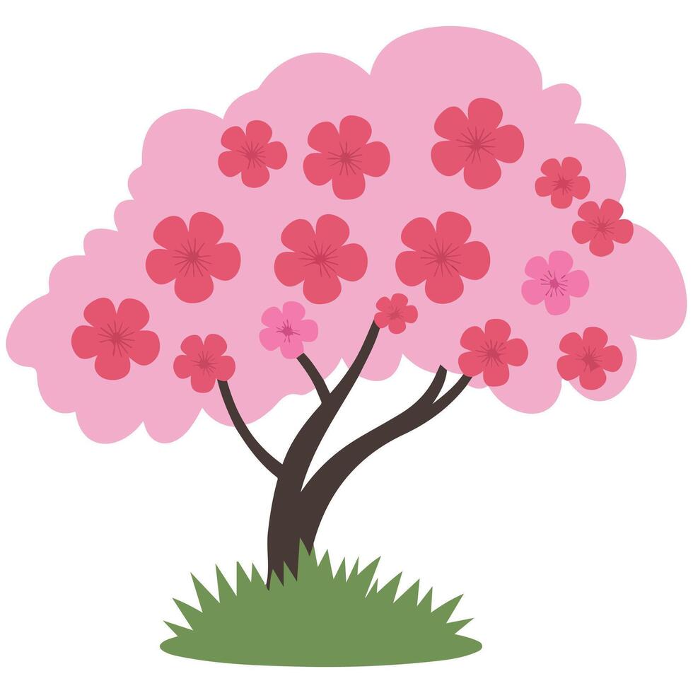 cherry blossom tree isolated illustration vector
