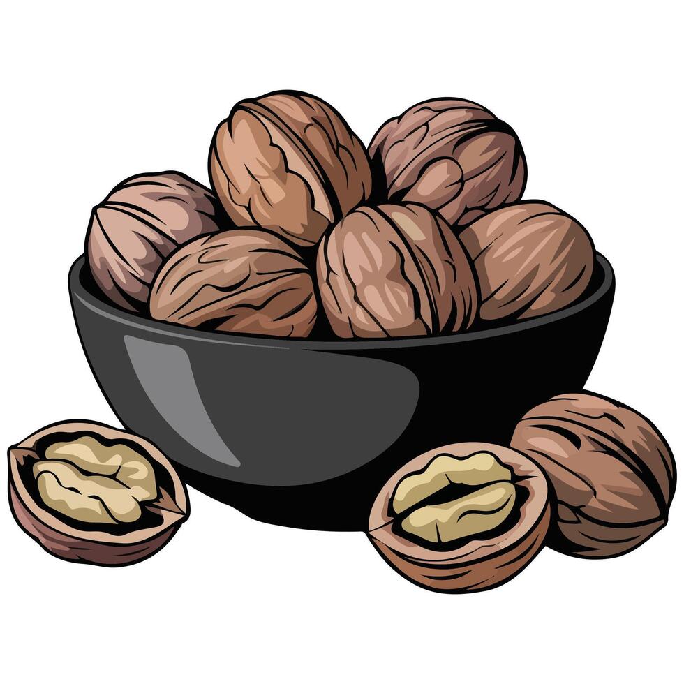 Walnuts in black bowl isolated illustration vector