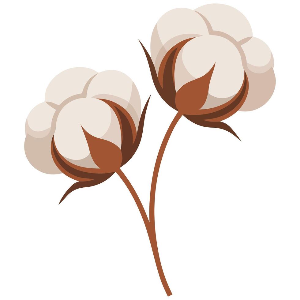 Cotton branch isolated illustration vector