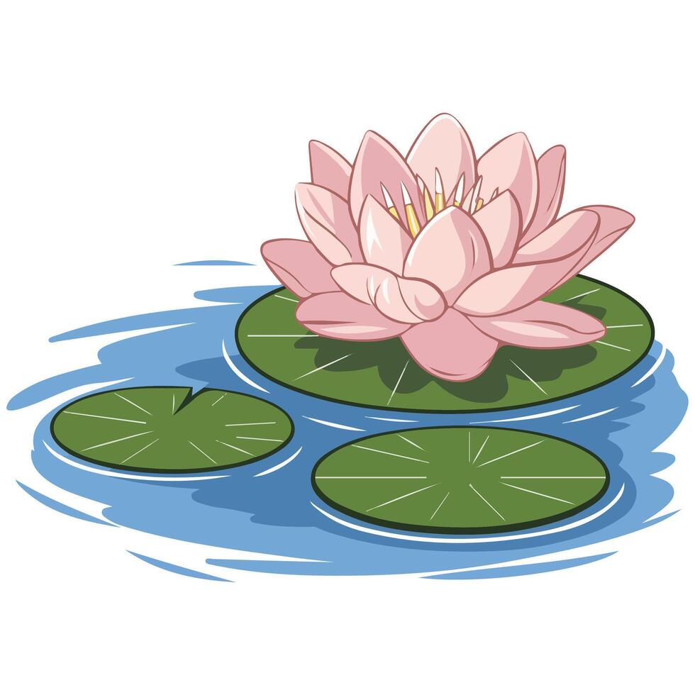 water lily isolated illustration vector