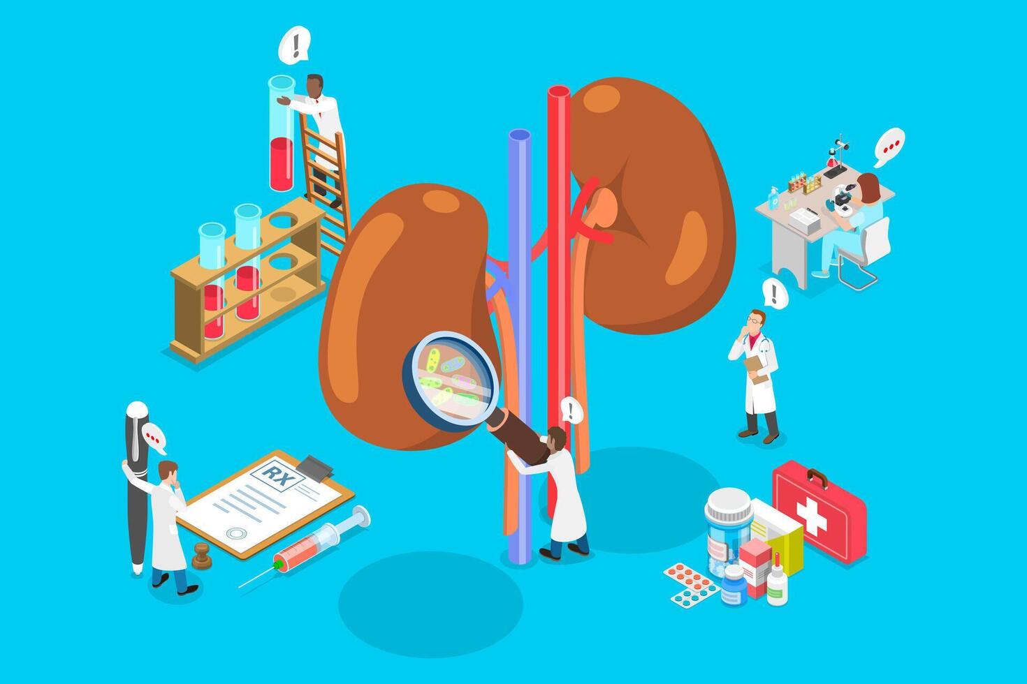 3D Isometric Flat Illustration of Treatment of Kidneys, Nephrology and Urology vector