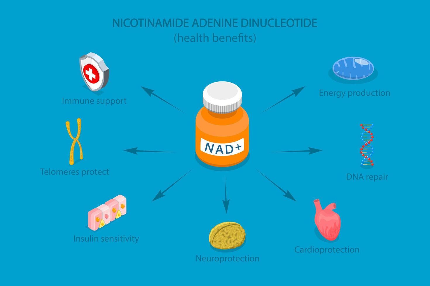 3D Isometric Flat Illustration of Health Benefits Of NAD plus, Anti-Aging Therapy vector