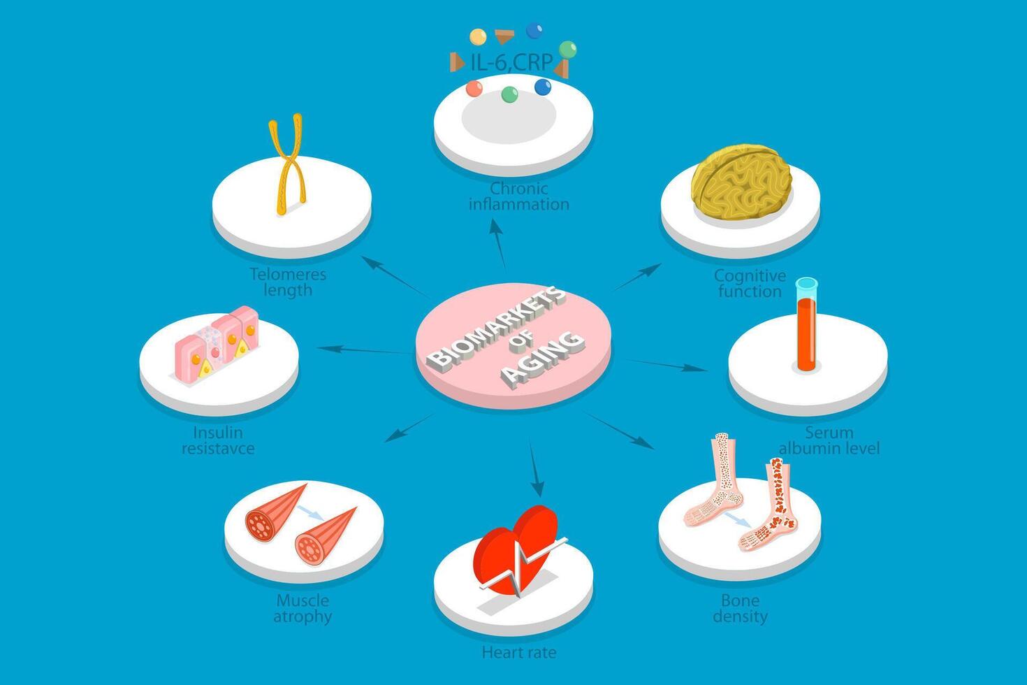 3D Isometric Flat Illustration of Aging Process, Natural Changes in Physical and Mental Capacities vector