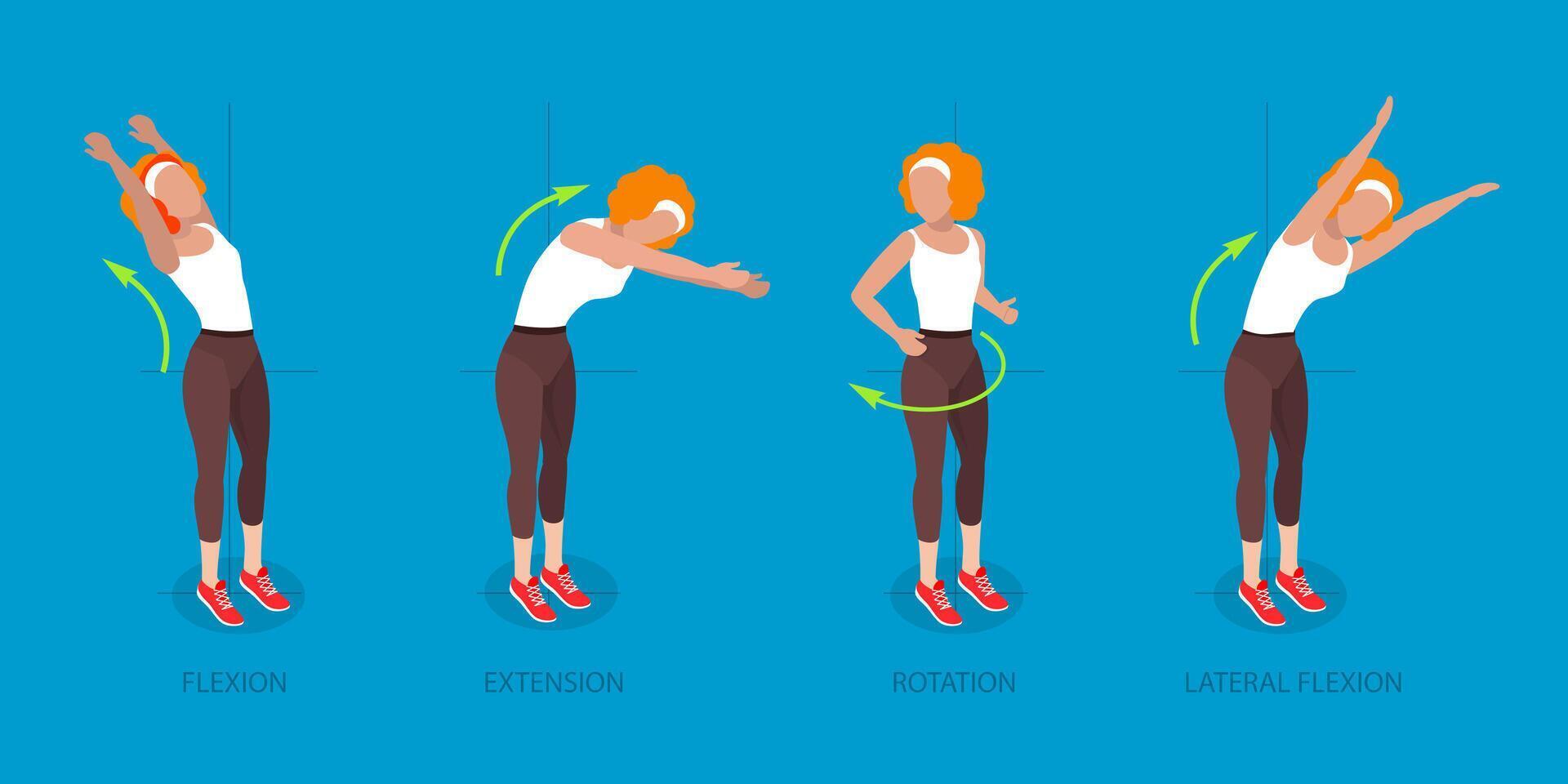 3D Isometric Flat Illustration of Spine Movements, Movement and Action for Spinae Muscles Health vector