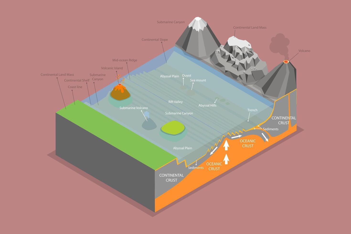 3D Isometric Flat Illustration of Structure of Oceanic Basin, Educational Schema vector