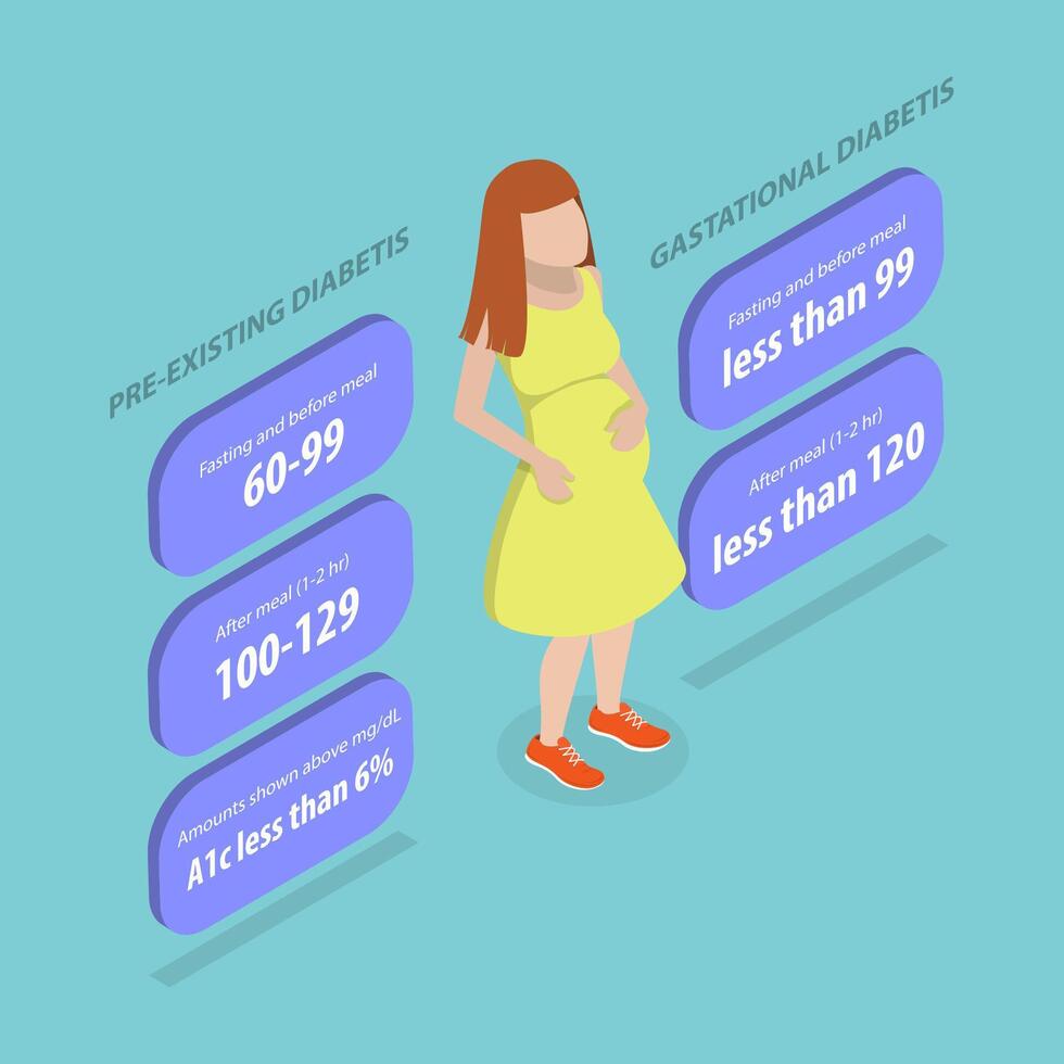 3D Isometric Flat Illustration of Target Blood Sugar Level For Pregnant, Glucose Monitoring vector
