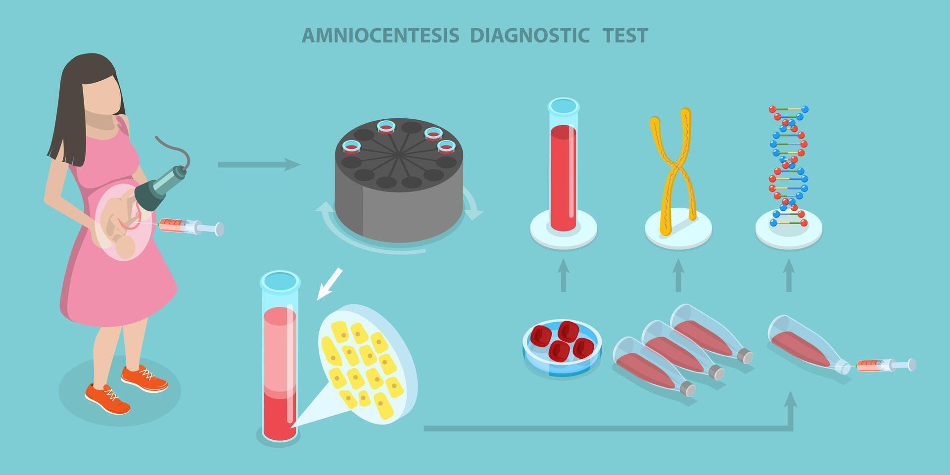 3D Isometric Flat Illustration of Amniocentesis Diagnostic Test, DNA Gene Exam vector