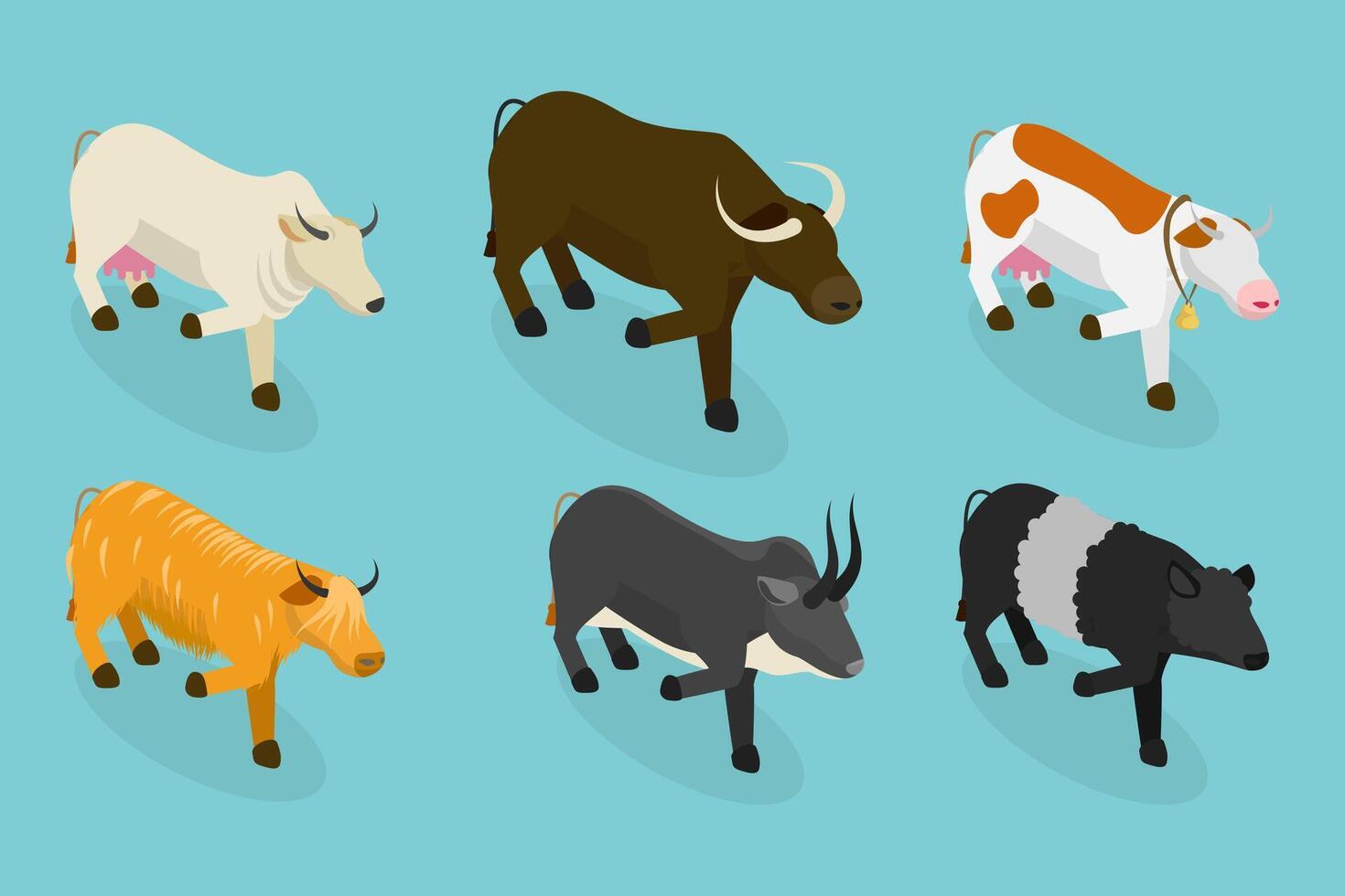 3D Isometric Flat Set of Bulls And Cows, Farm Animals vector