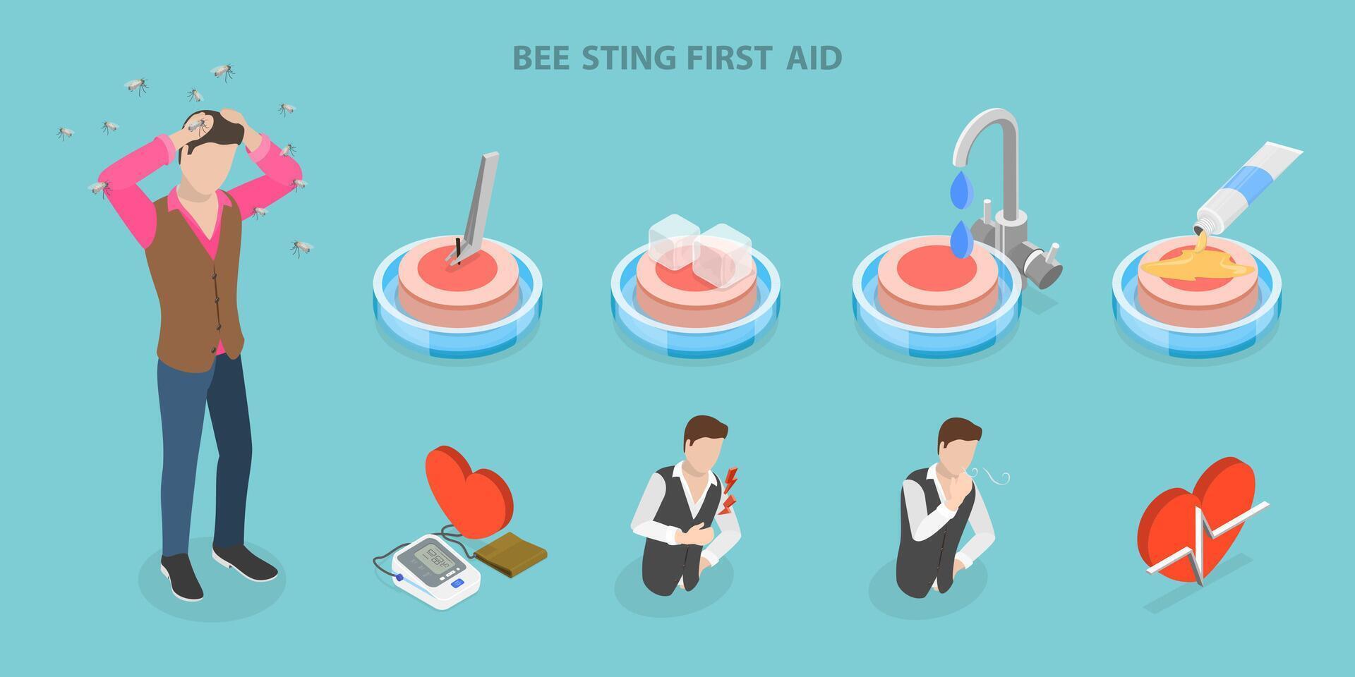 3D Isometric Flat Illustration of Bee Sting First Aid, Anaphylactic Warning Signs vector