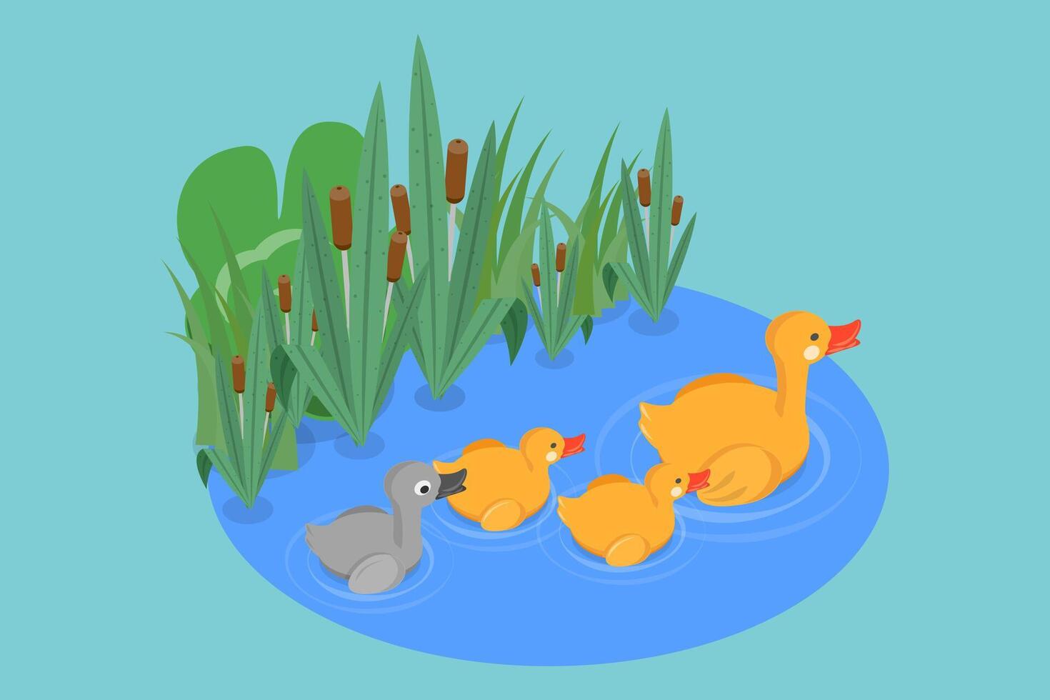 3D Isometric Flat Illustration of Ugly Duckling Fairy Tale, Waterfowls Swimming in Pond vector