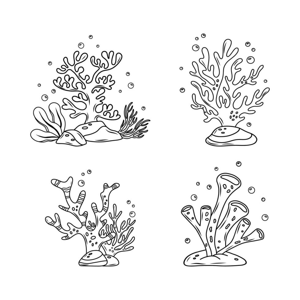 A set of illustrations depicting corals and algae. A black and white outline. Drawings for design, banners, books, magazines about the sea and travel. A set of illustrations. illustration vector