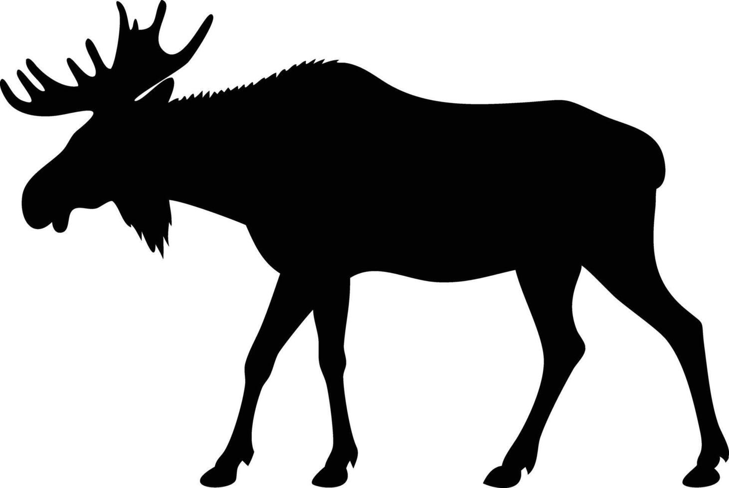 Majestic moose silhouette displays its impressive antlers while calmly standing in natural light vector
