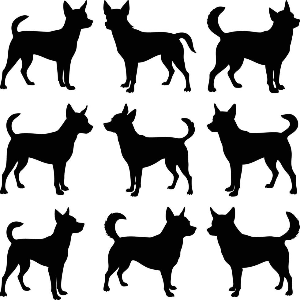 Several black silhouettes of dogs showing different poses and tail positions on a white background vector