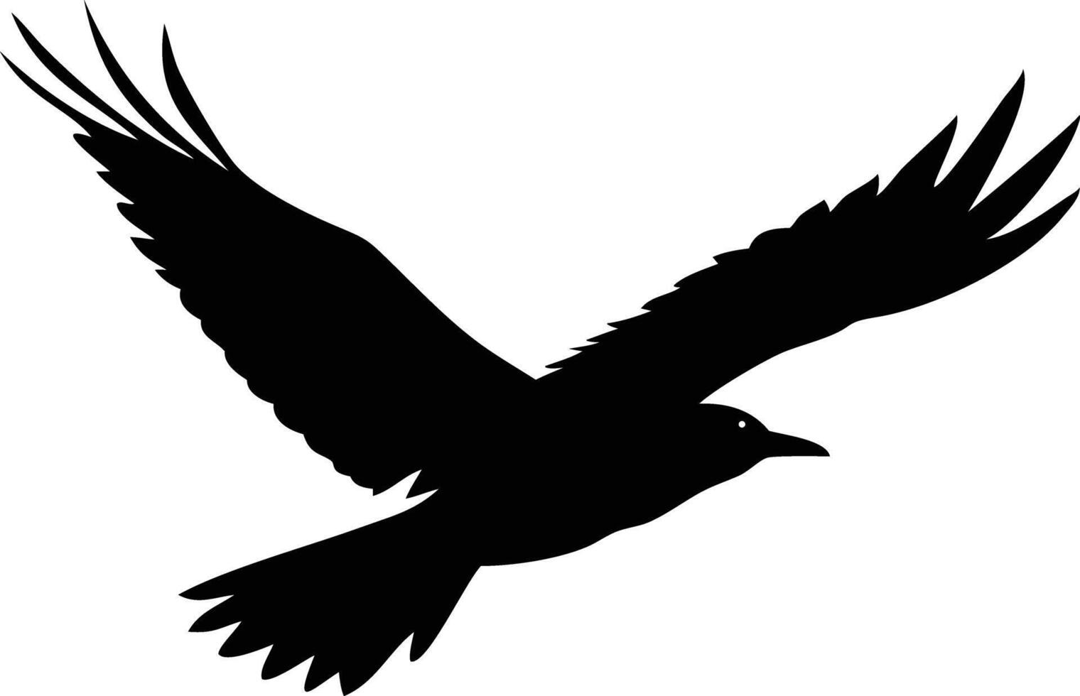 Bird soars through the sky, its expansive wings casting a bold, beautiful silhouette vector