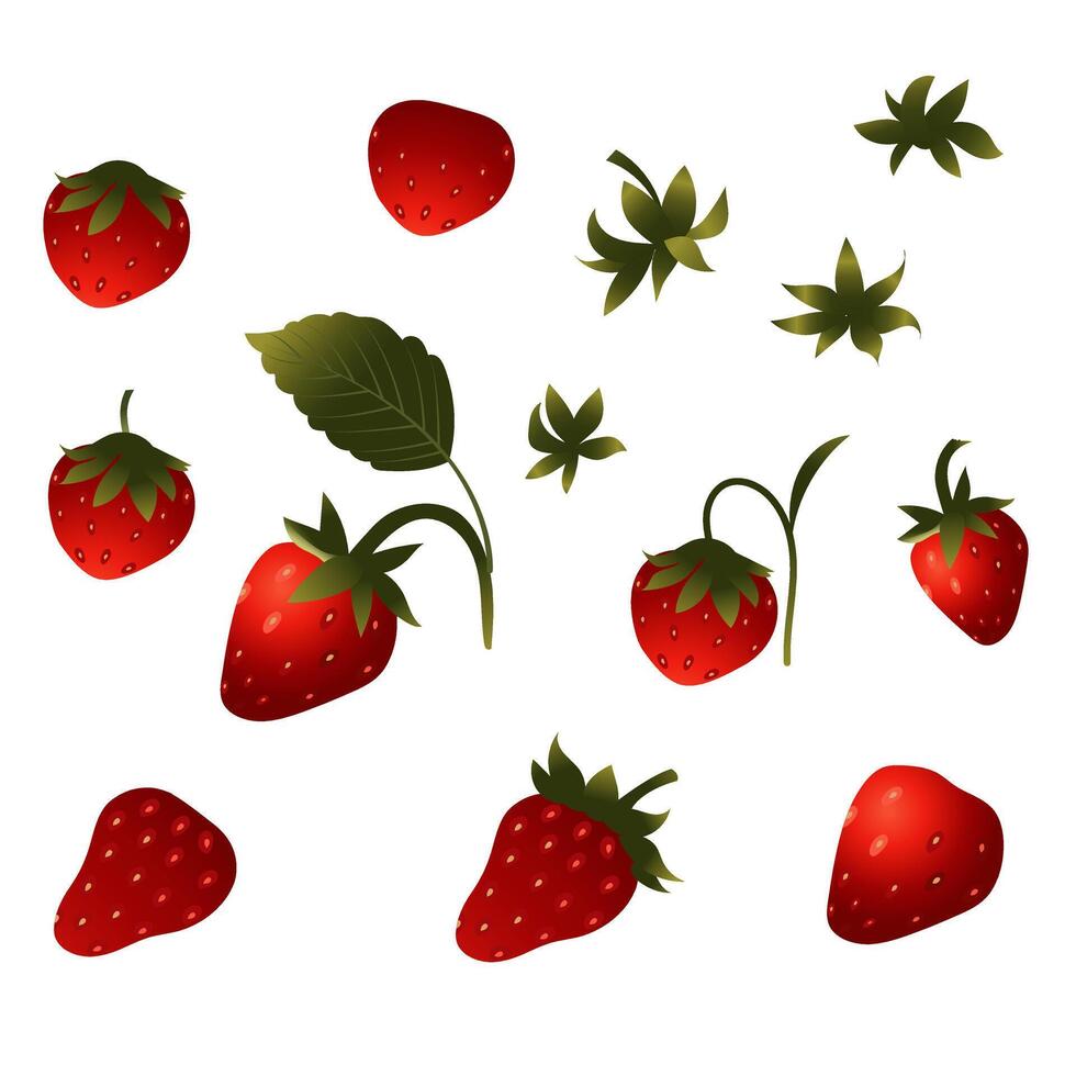 Set of strawberry berries. illustration isolated on white background. vector