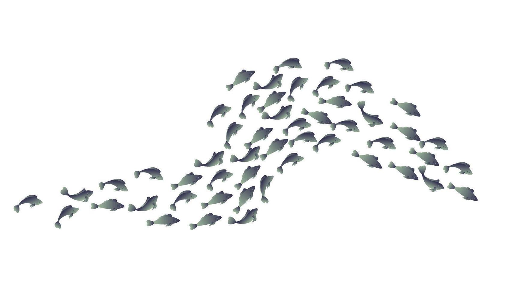 A small school of simple silver fish on a white background. vector