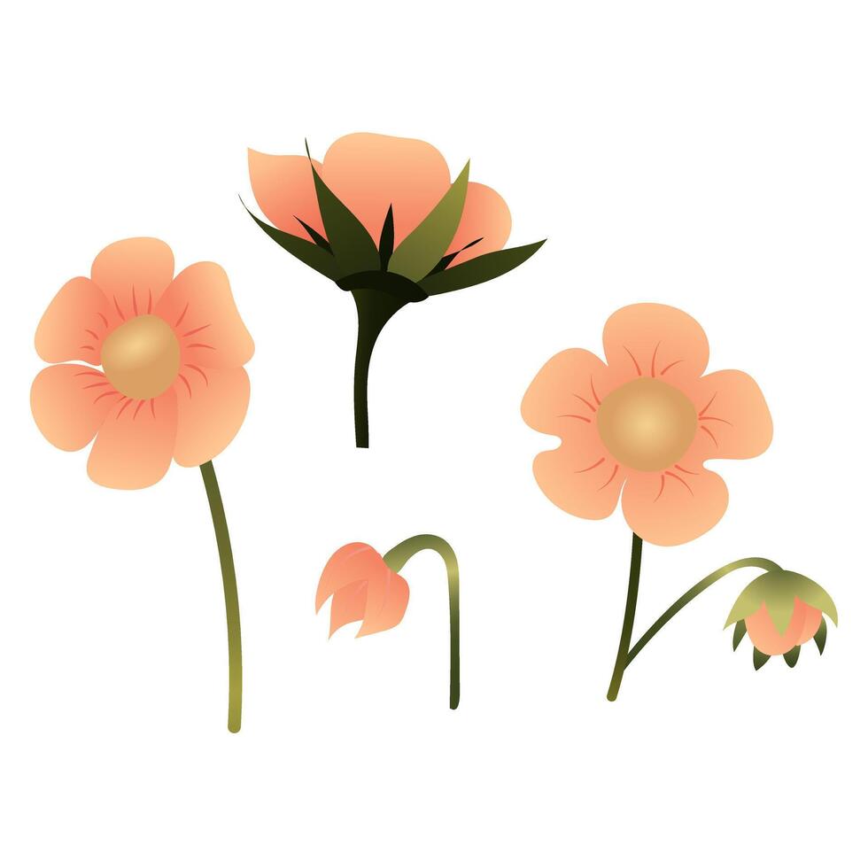 Set of simple pink flowers. illustration isolated on white background. vector