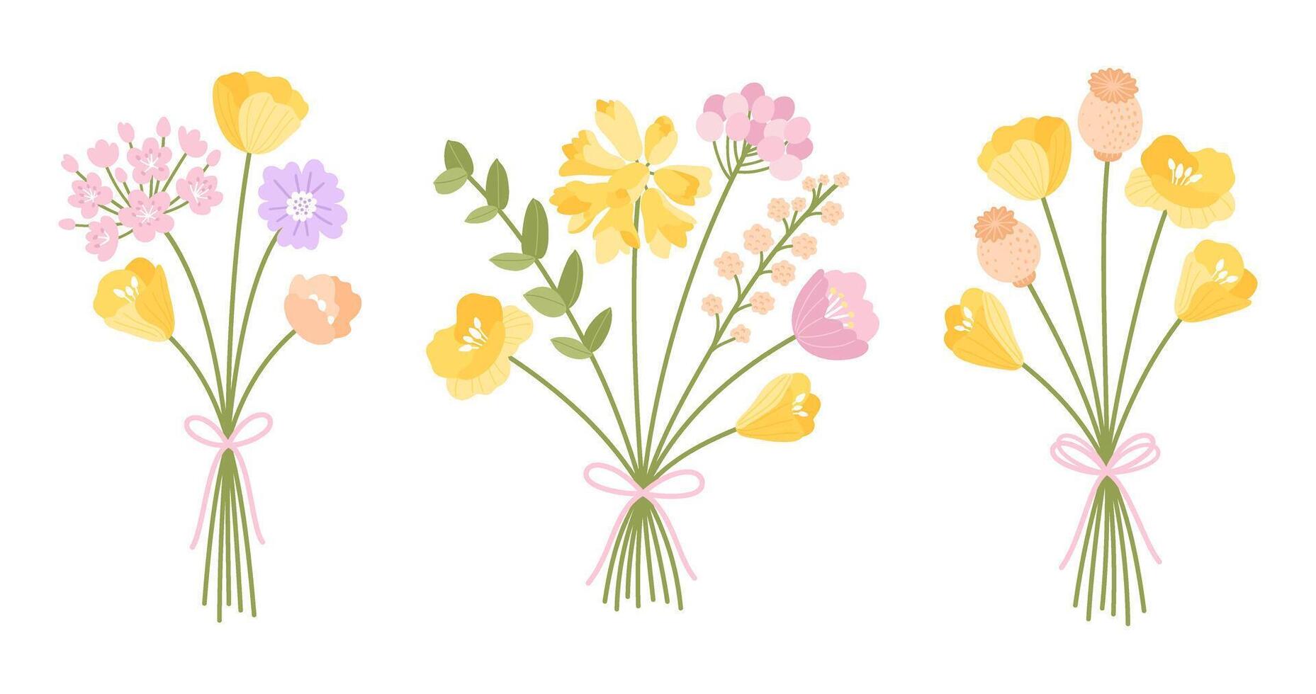 Wildflower bouquets set. Gentle bouquets with poppies, meadow herbs, and wild plants. Flowers tied with ribbons, floral illustration for design projects vector