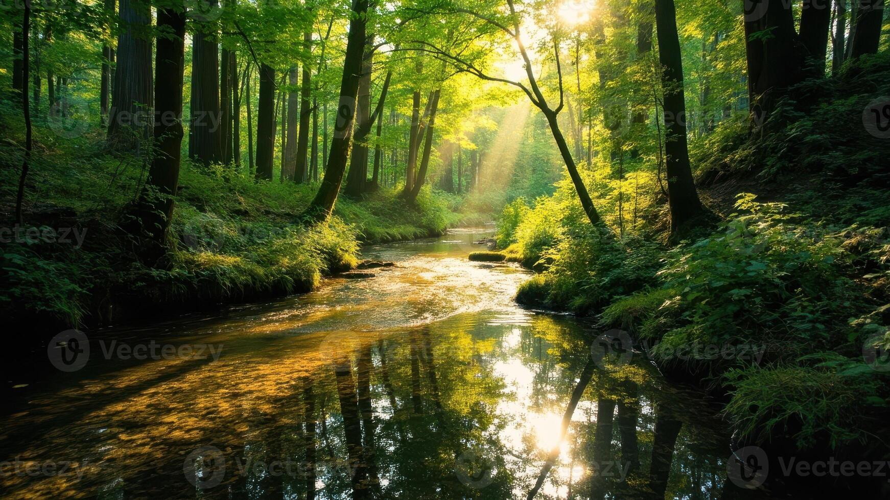 A serene forest scene features a winding stream flowing through dense foliage. photo