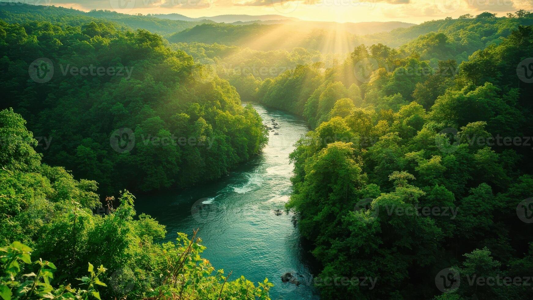 A river winds through a lush, green forested valley, surrounded by dense trees and rolling hills. photo