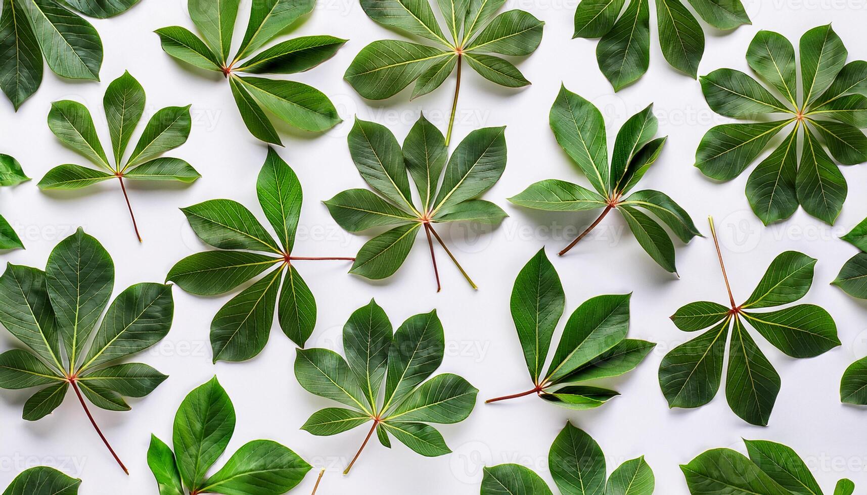 A large group of green leaves arranged in a pattern photo