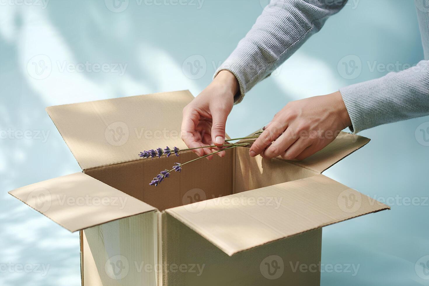Hands placing lavender sprigs into open cardboard box photo