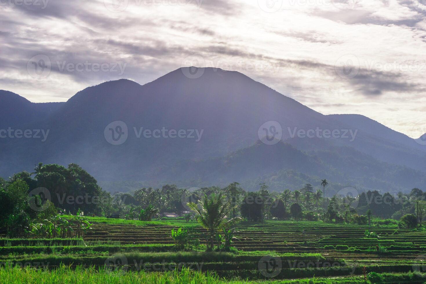 A view of the mountains and rice fields in bali photo