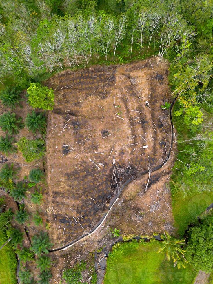 An aerial view of a forest with trees and dirt photo